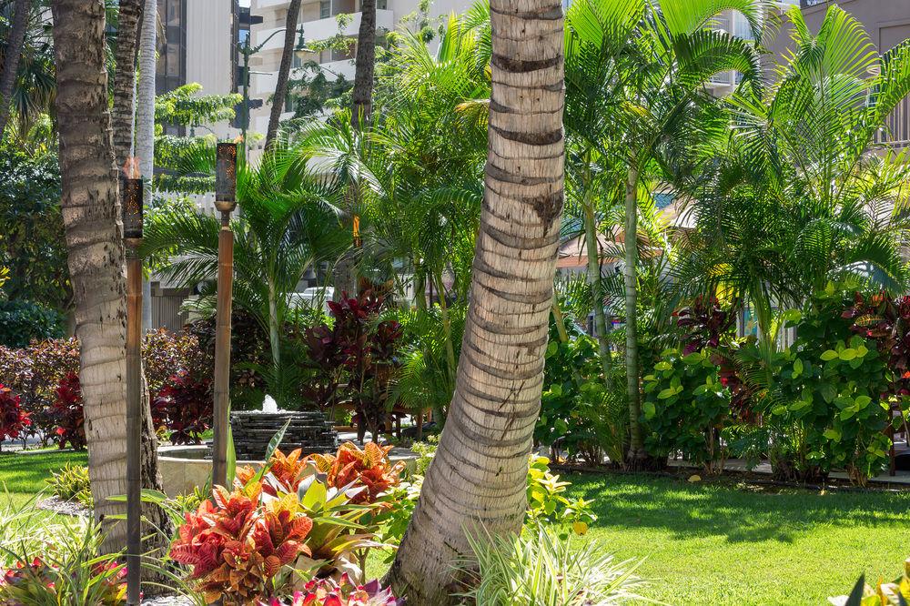 Courtyard By Marriott Waikiki Beach Honolulu Exterior photo